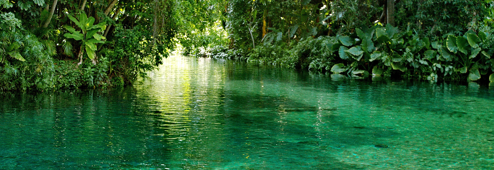 Parques recreativos morelos
